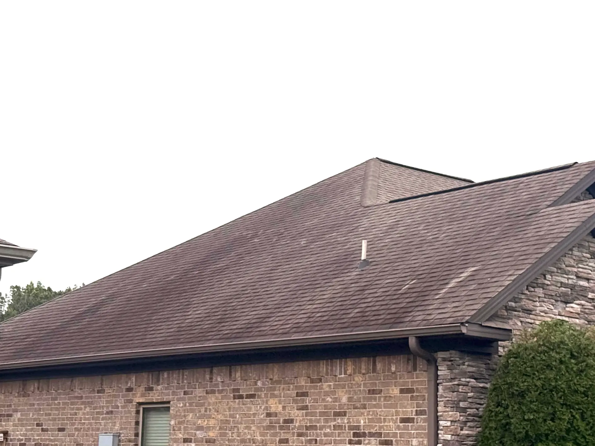 Roof Cleaning — Before