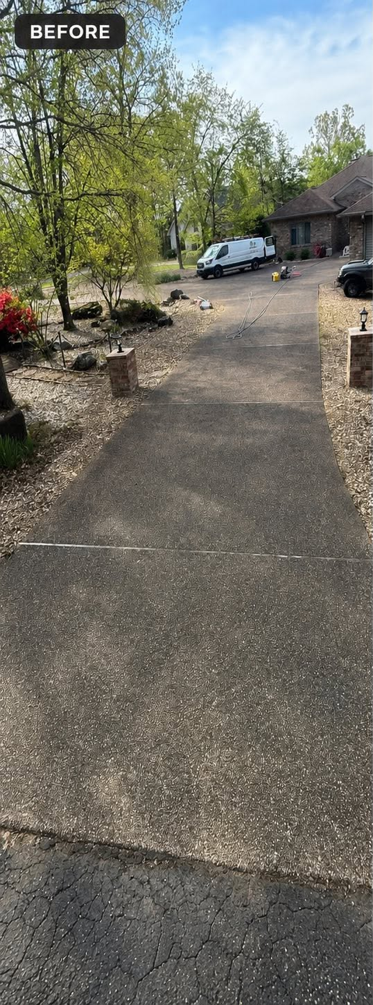 Concrete Cleaning — Before