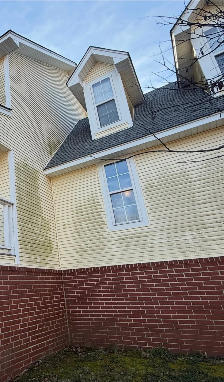 House Washing — Before